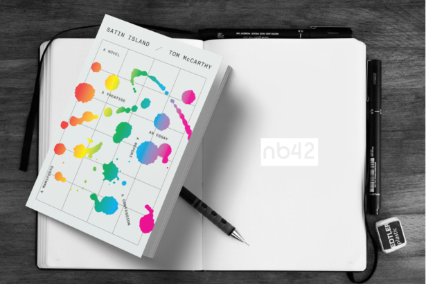 satin island libro resumen