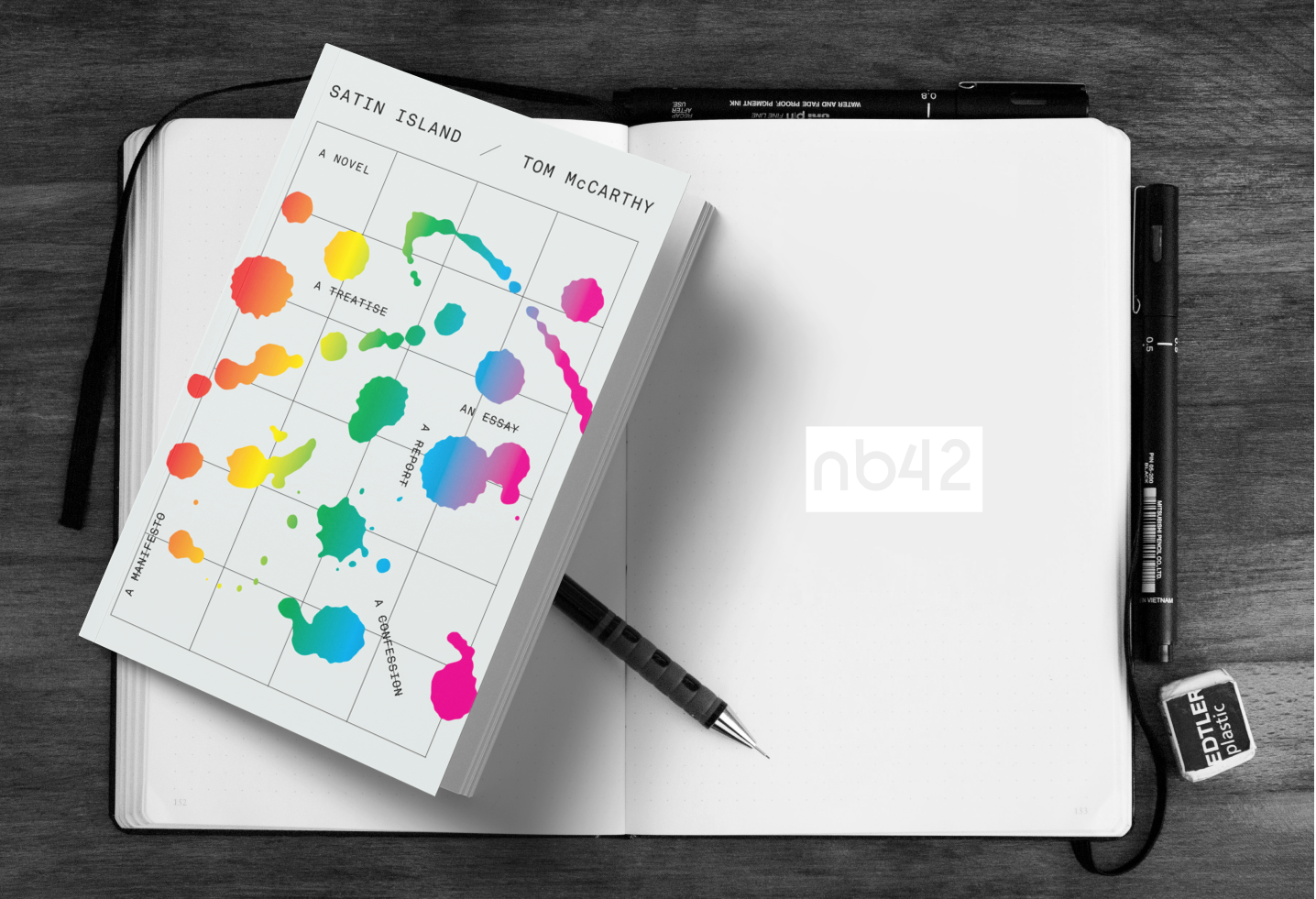 satin island libro resumen