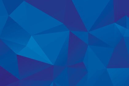 Axiom&aacute;tico de Mar&iacute;a Tumarkin